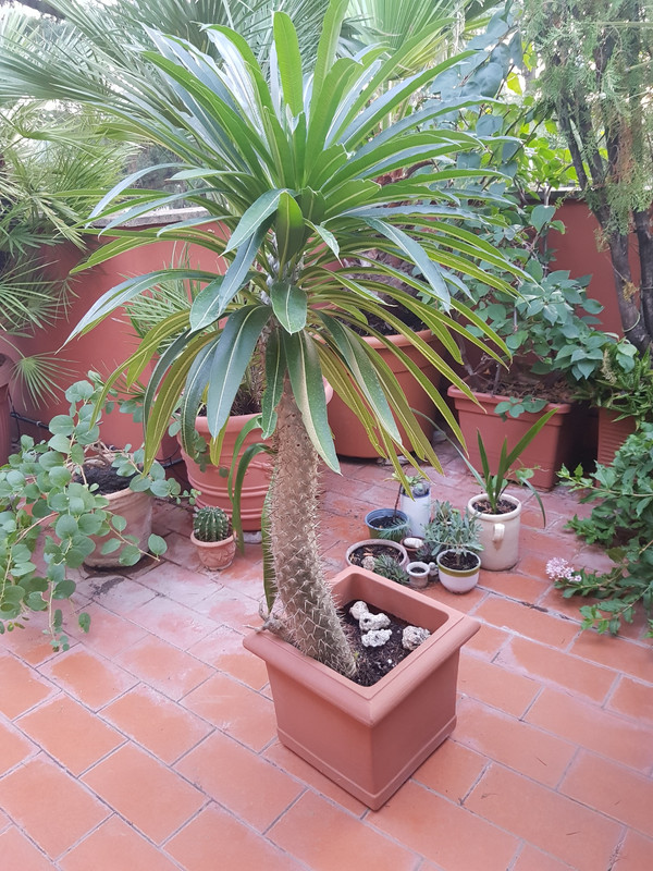 20250821_194731_resized