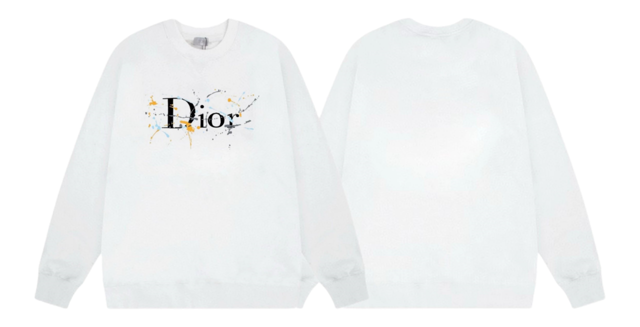 Dior Hoodie