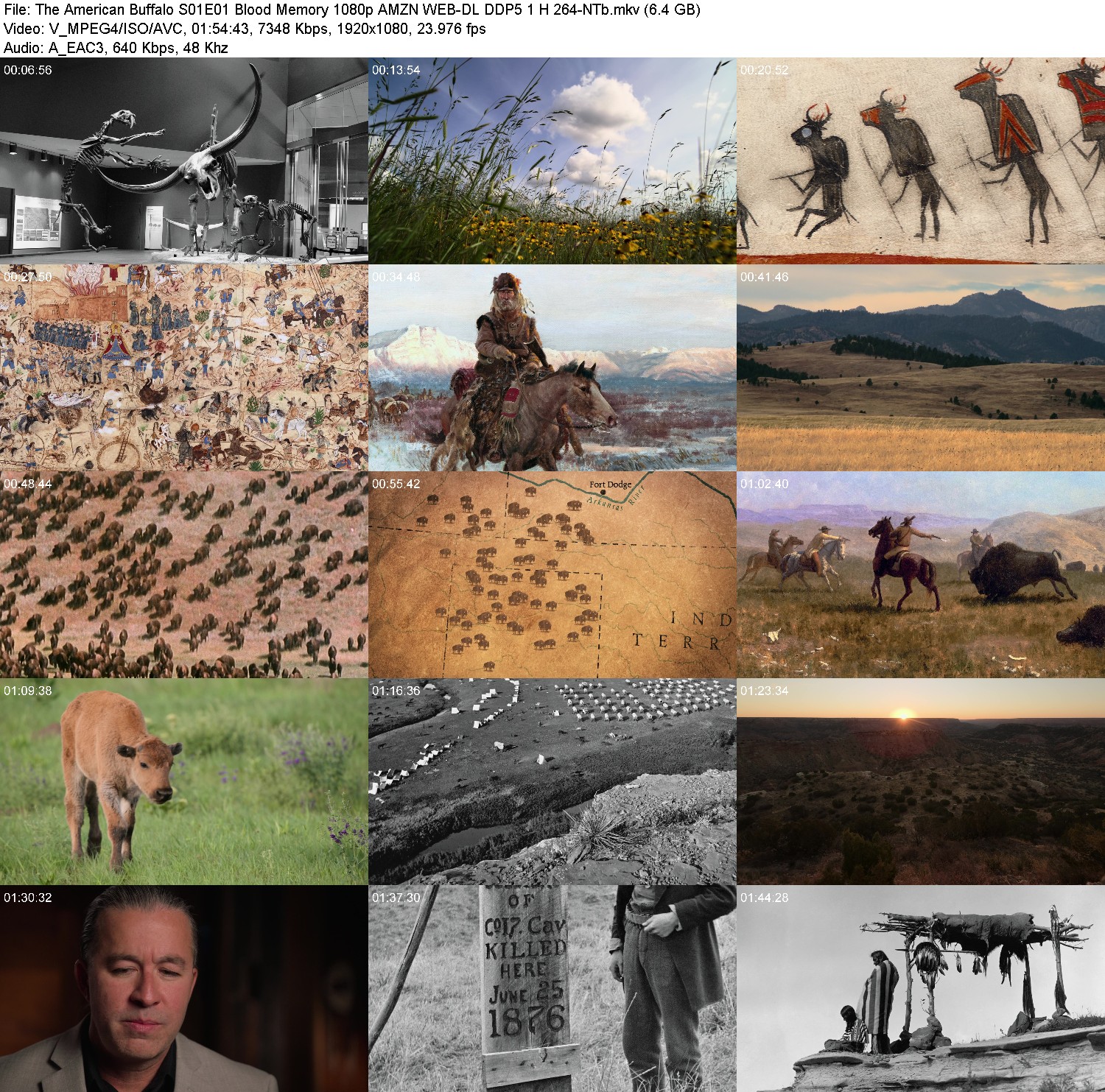 [Image: m5rf0jdsw-13p.jpg]