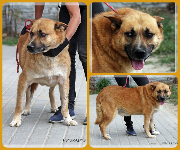 BeFunky-collage (15)