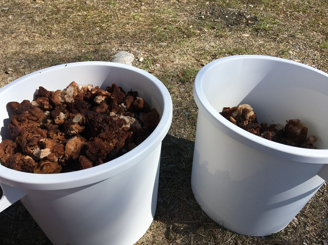 414CB92C-923D-4CF0-BF49-4F68E83A039A