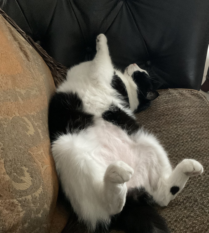 16E477E1-B959-4EEF-BD5A-EB9398FAA856