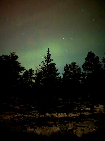 Rovaniemi 2025 - Blogs de Finlandia - --DÍA 2 (30 noviembre): Llegada a Rovaniemi y Auroras Boreales (3)