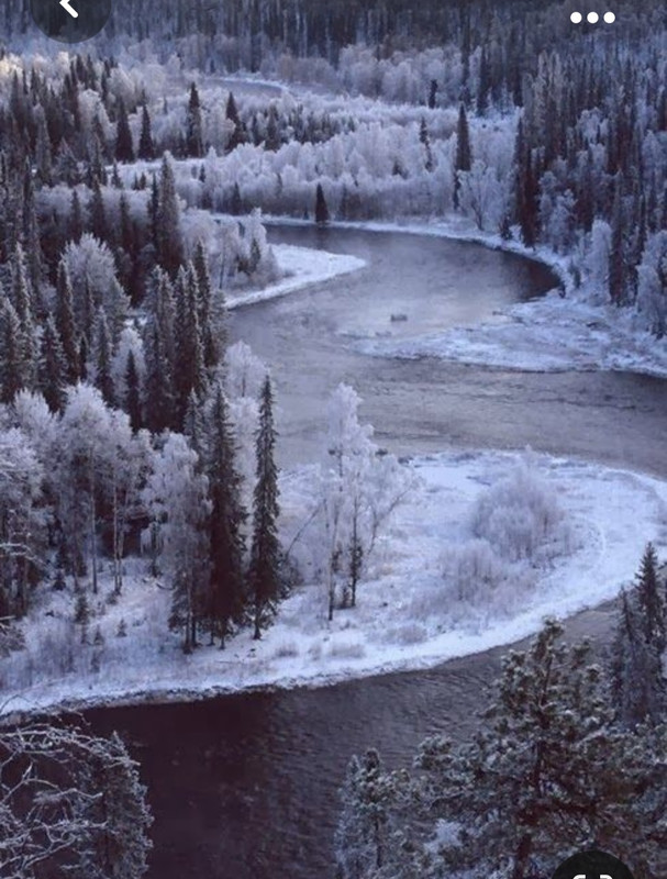 Screenshot_20231019_204542_Pinterest