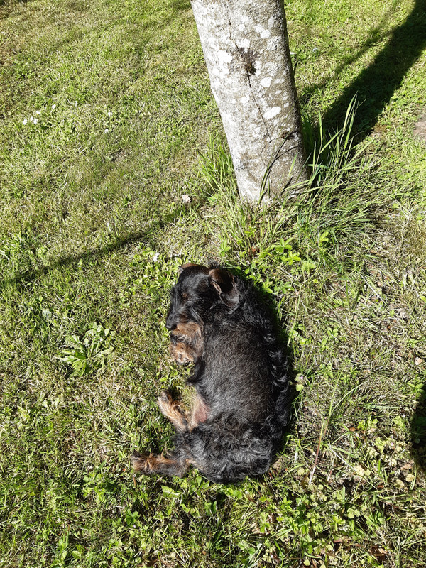 [Image: 20230503-162120.jpg]