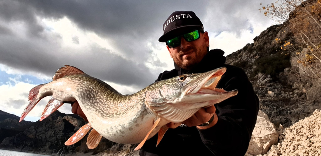 WhatsApp Image 2019-12-02 at 08.29.47