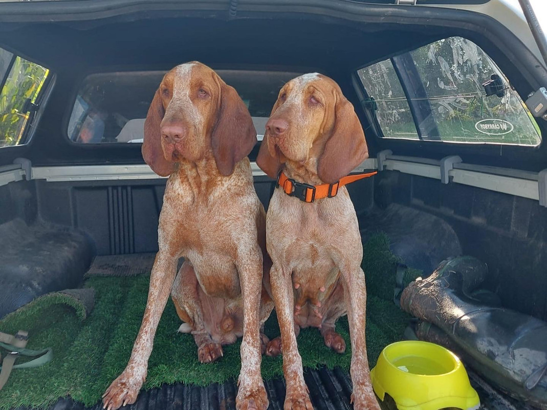 03D39FD2-B6F4-4E4B-AD90-FB5A88C5F3C0