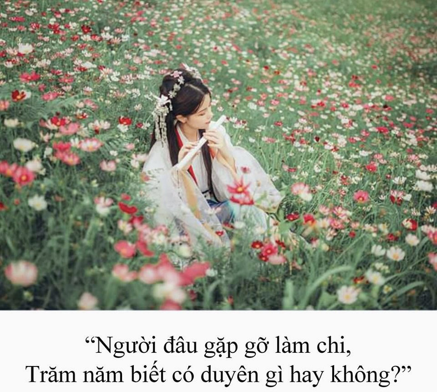 0DA7770D-F72A-4446-A04B-C25FBE69081D