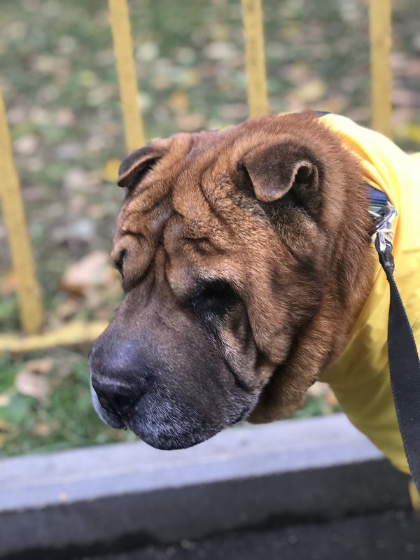 D33B877E-8790-488B-BC2D-90759F6F3B6F