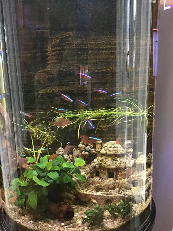 08FFB442-F585-4F10-A36C-82CD2D2651FA