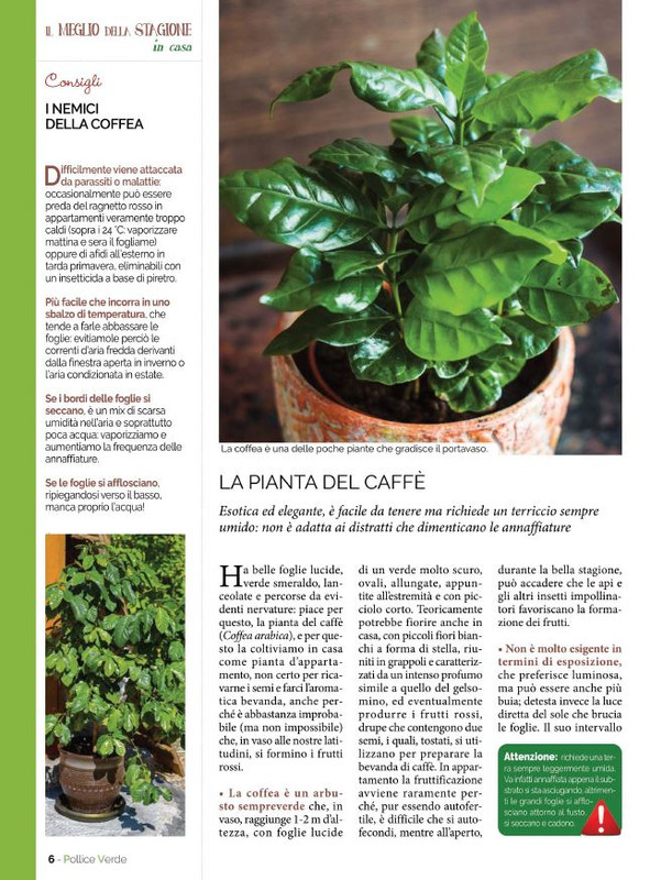 Pol Ver Apr-Mag 2022 (1)