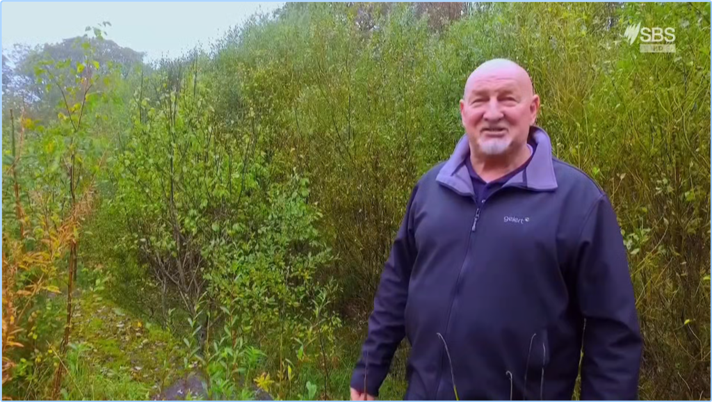 [Image: 5u7wh8tclq0b.png]