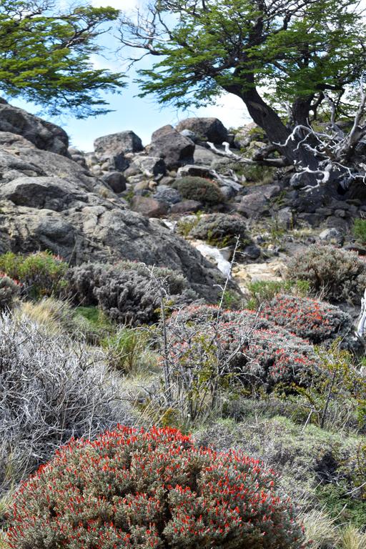 В джазе только девушки или аргентинско-бразильский калейдоскоп В джазе только девушки или аргентинско-бразильский калейдоскоп