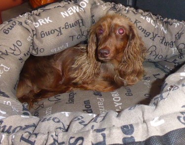 [Image: P1050403.jpg]