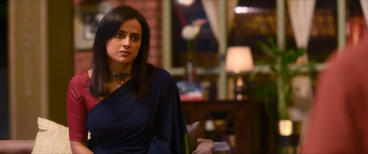 Aaryan 2025 WebRip [Hindi + Tamil + Telugu + Malayalam + Kannada] 480p 720p 1080p ESub Screenshot