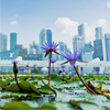 Icons-Neu-117
