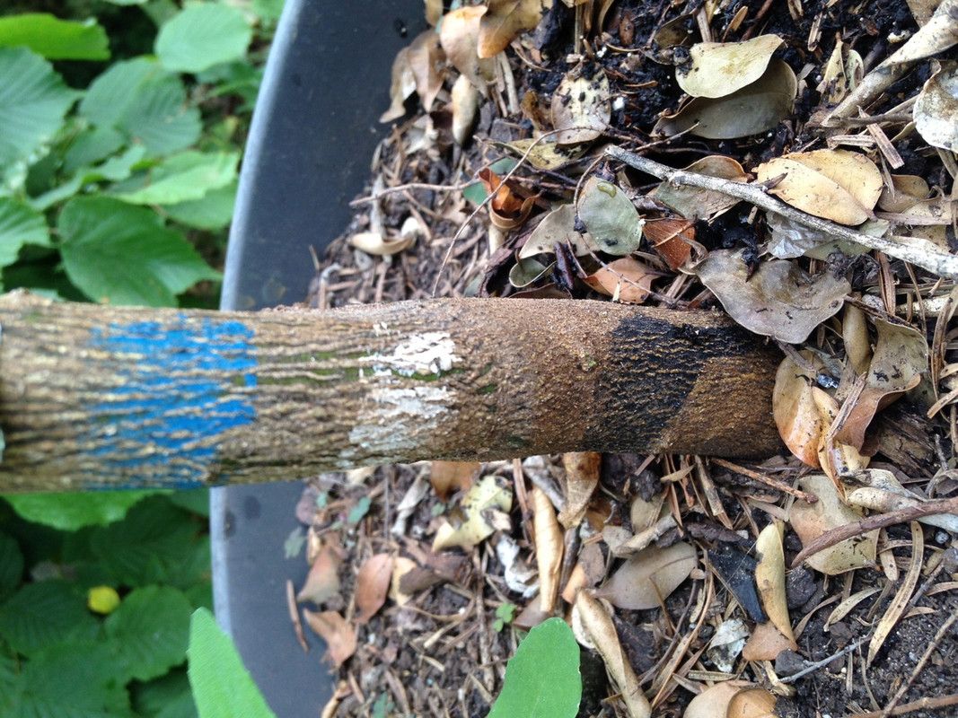 IMG_1612