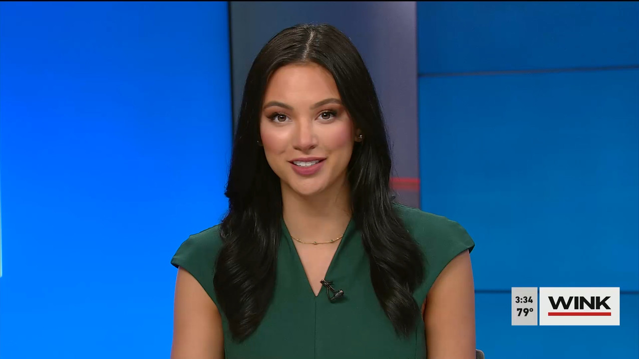 01.05 - 20.00.00 - WINK News at 3pm  ᴺᵉʷ..ts_snapshot_00.41.20.074