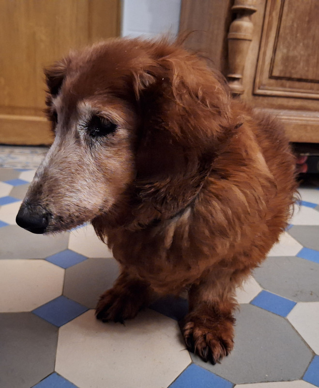 [Image: 20240711-195255.jpg]