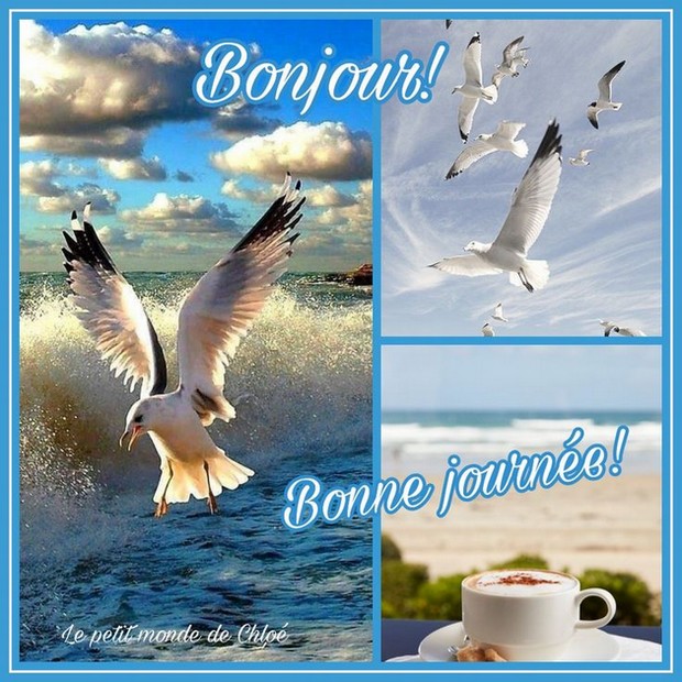 647-bonjour-bonne-journ-e