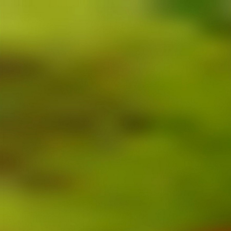 3pp