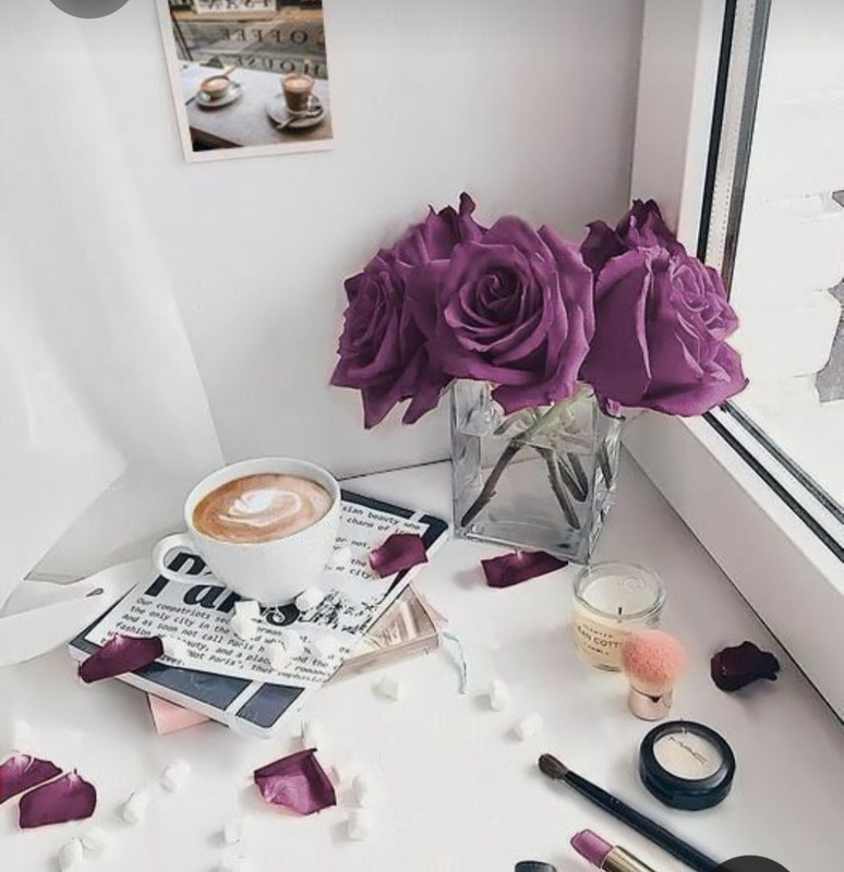 Screenshot_20230219_202446_Pinterest