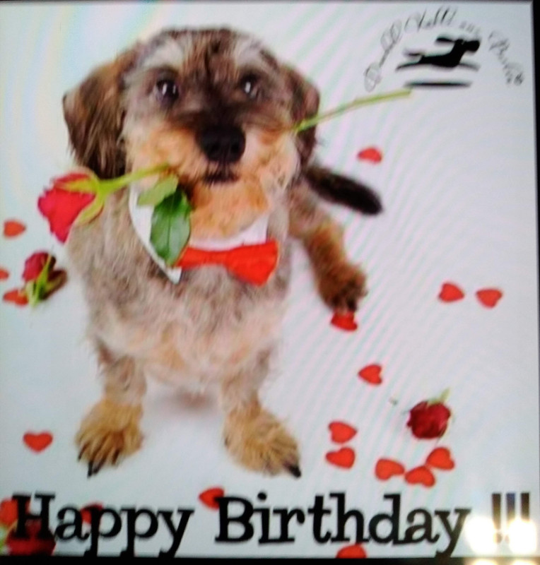 [Image: IMG-20250207-182030.jpg]