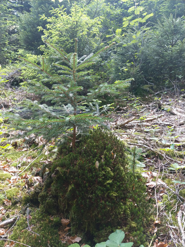 09C0162D-9FD2-4C7C-88B5-86D72942F23F