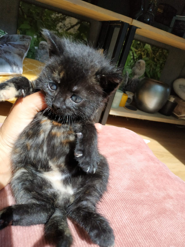 D41A0C63-7795-4926-83DD-E71E8B9FA07A