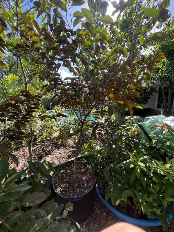 07025210-7C5E-43FF-95DE-20D0DB72E8D8