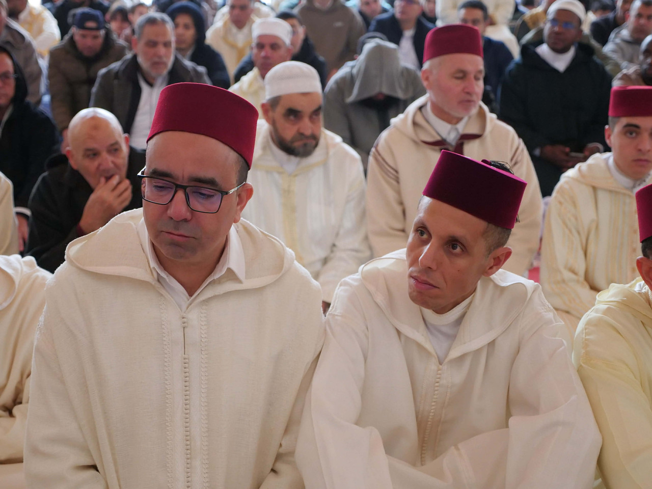 3bc6ea45-0279-48d0-8a2e-ba66ac0933c8