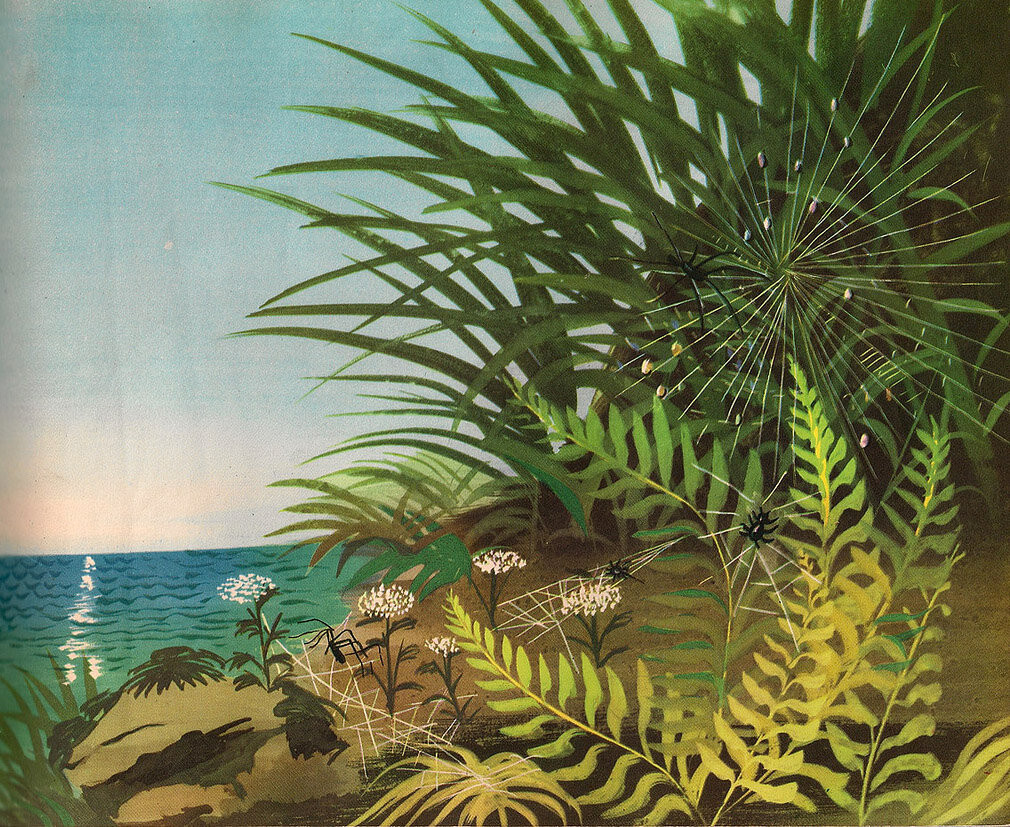 5536426520_8f70d04dff_b