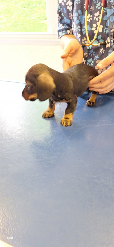 [Image: 20250606-180628.jpg]