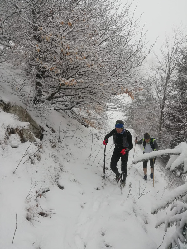 66E8DF5F-96B8-44E9-8064-FCE9756B16CC