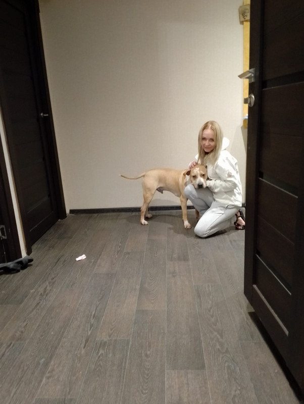 0D7A593D-D37E-416D-883E-CCCD0C0967FA