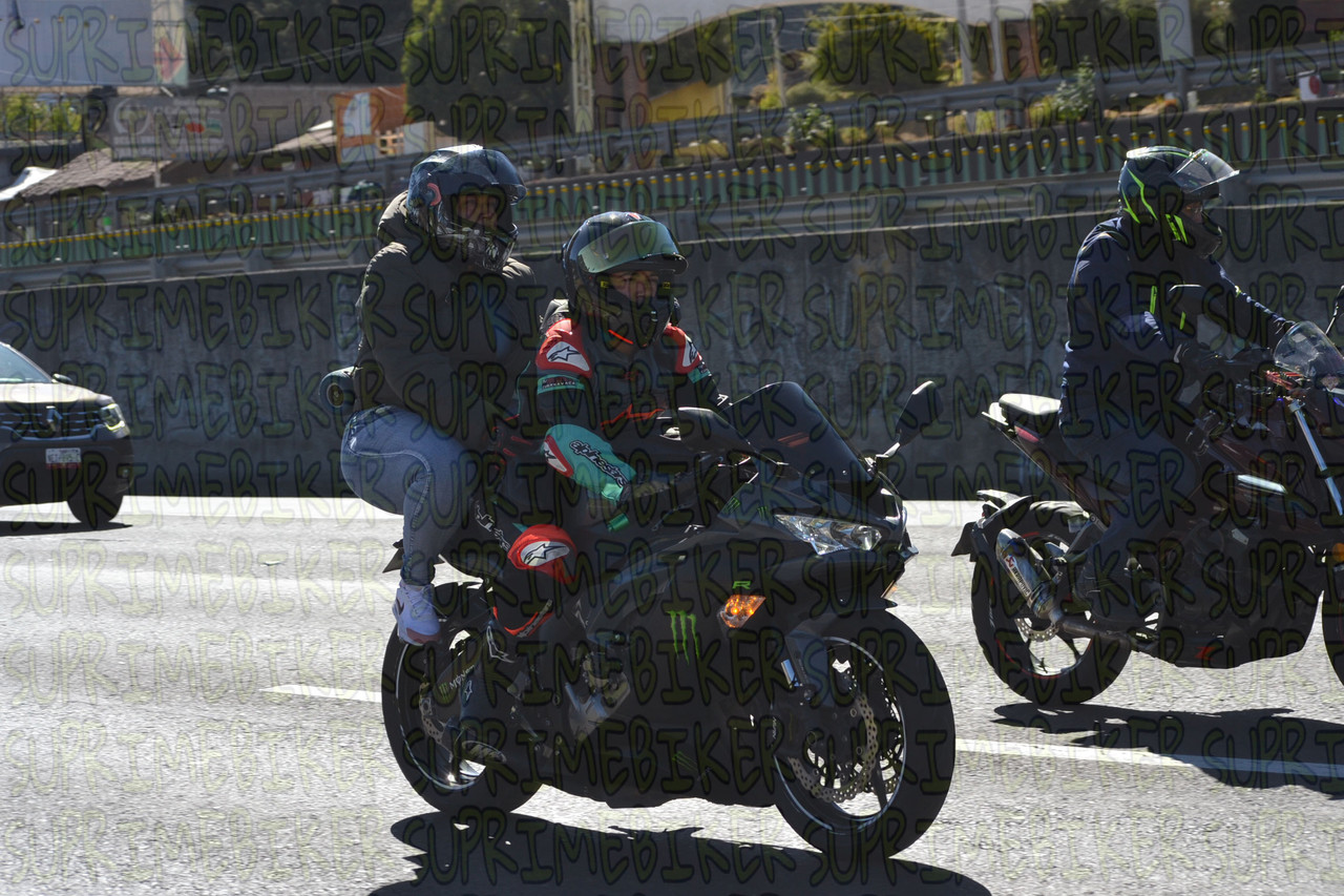 DSC 0649