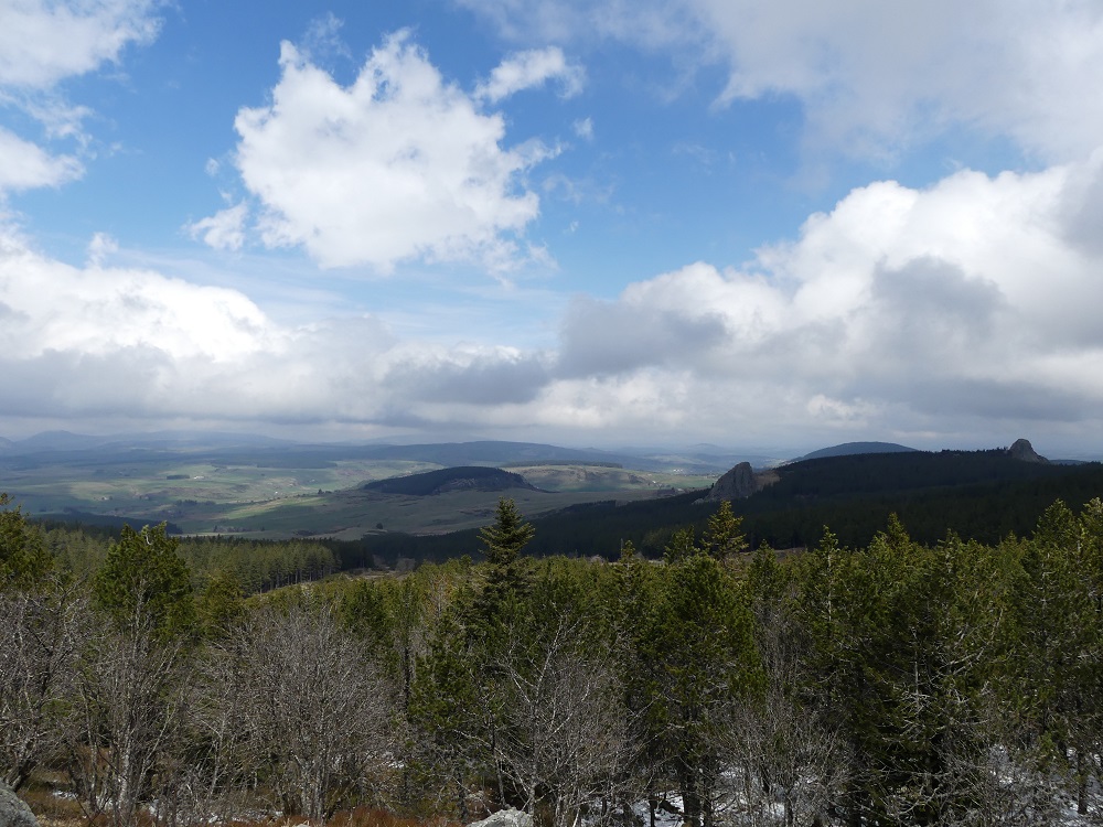 P1090028.jpg
