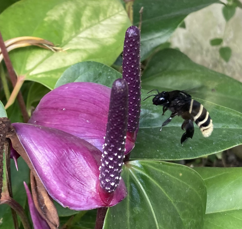 8A97646D-6BAD-4F39-99DE-97E42C0041F0