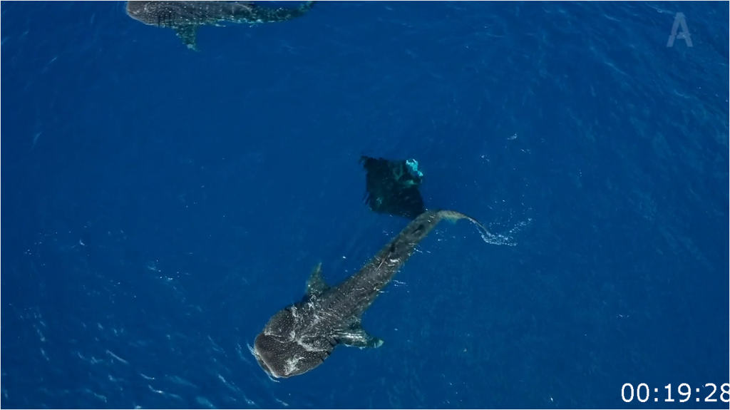 [Image: b842uci2wdht.png]