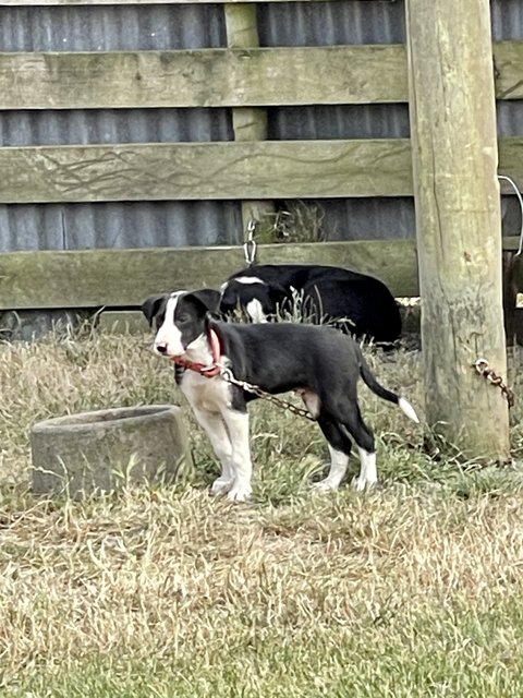 [Linked Image from i.postimg.cc]