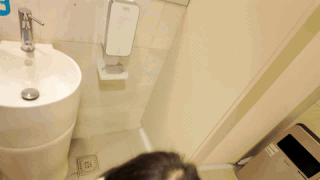 圖檔