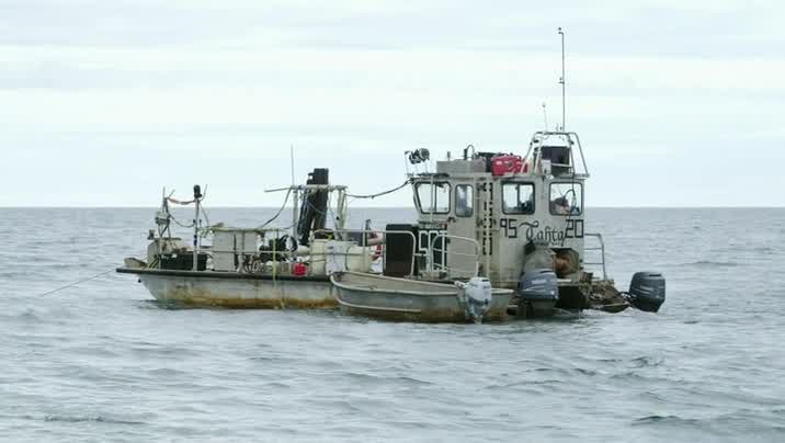 [Image: ejgz49v5rj8j.jpg]