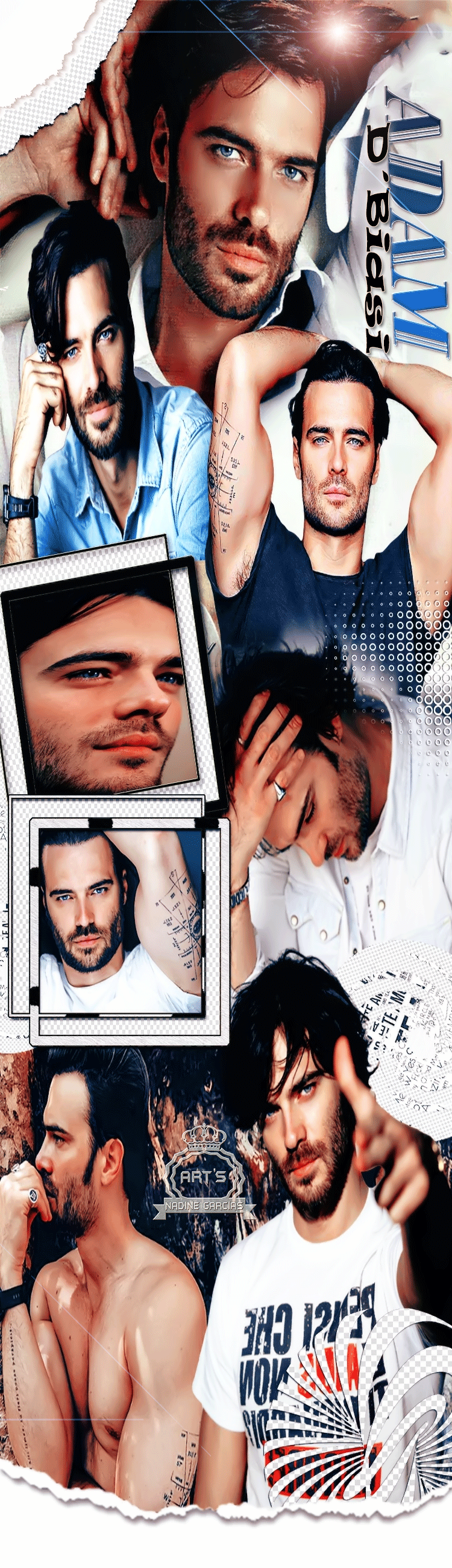 banner1.gif