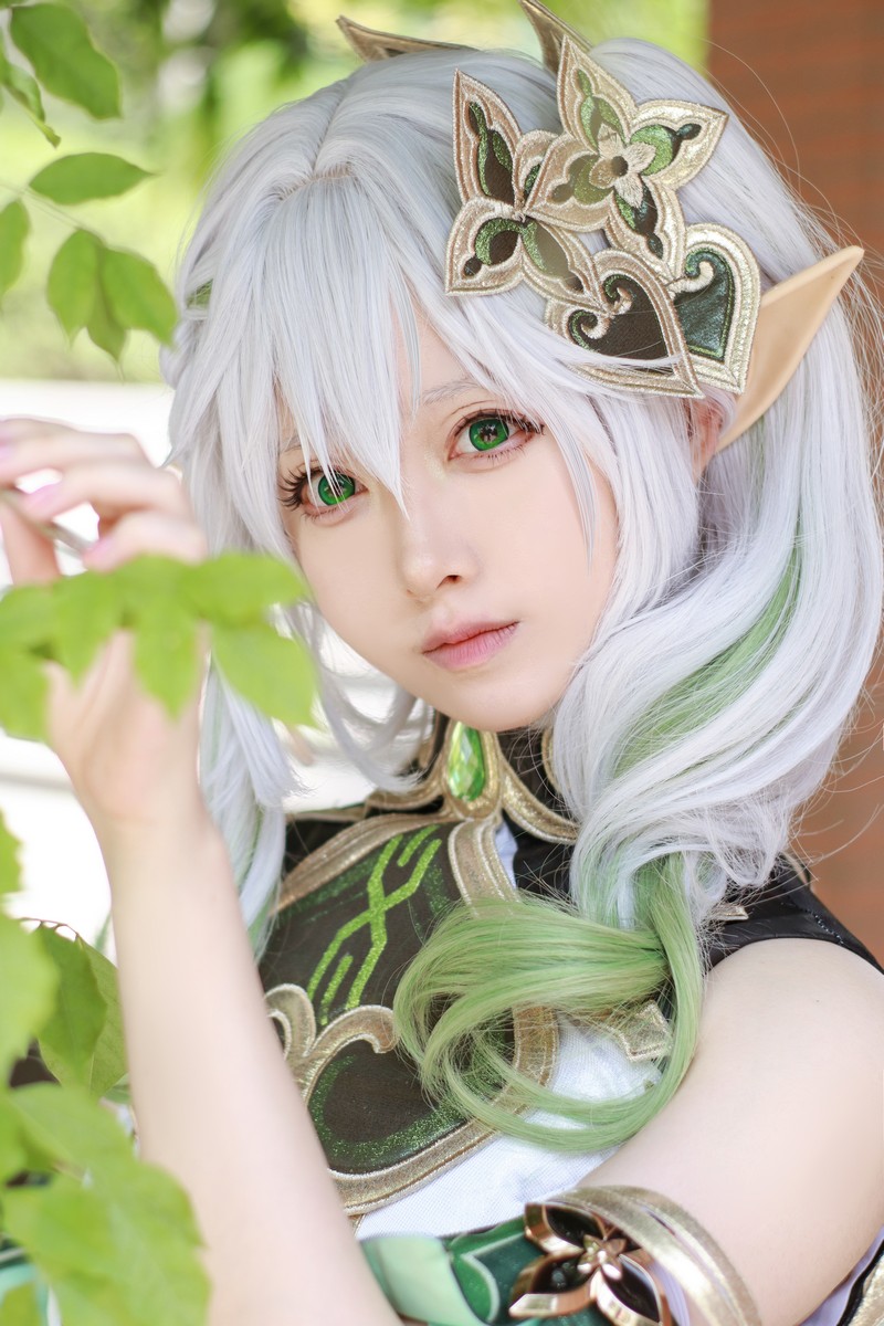 Asagiriai(愛ちゃん)纳西妲 Cosplay写真图集 原神角色高清图集 37P (409MB)