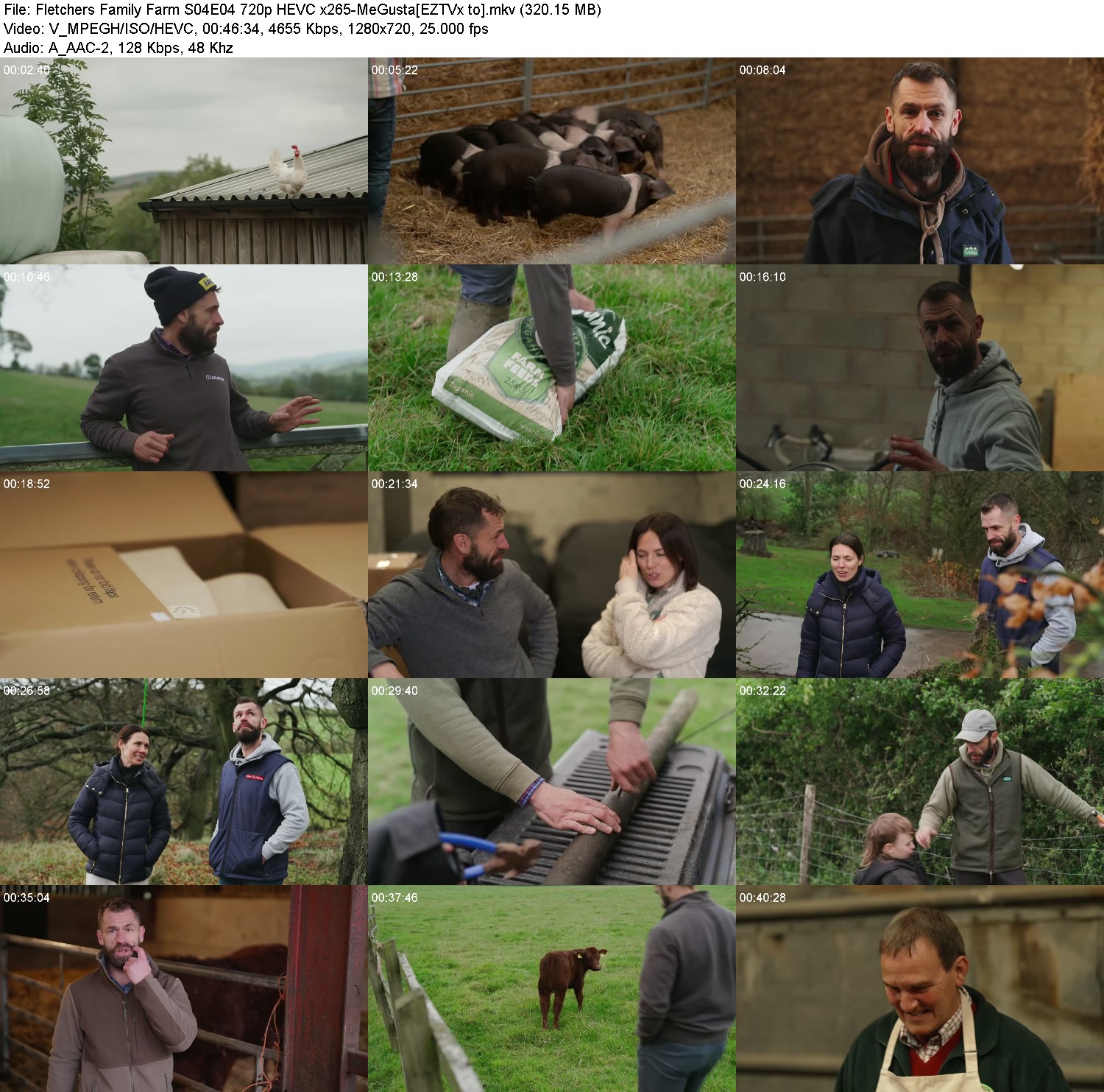 [Image: mpuo7hkv086c.jpg]