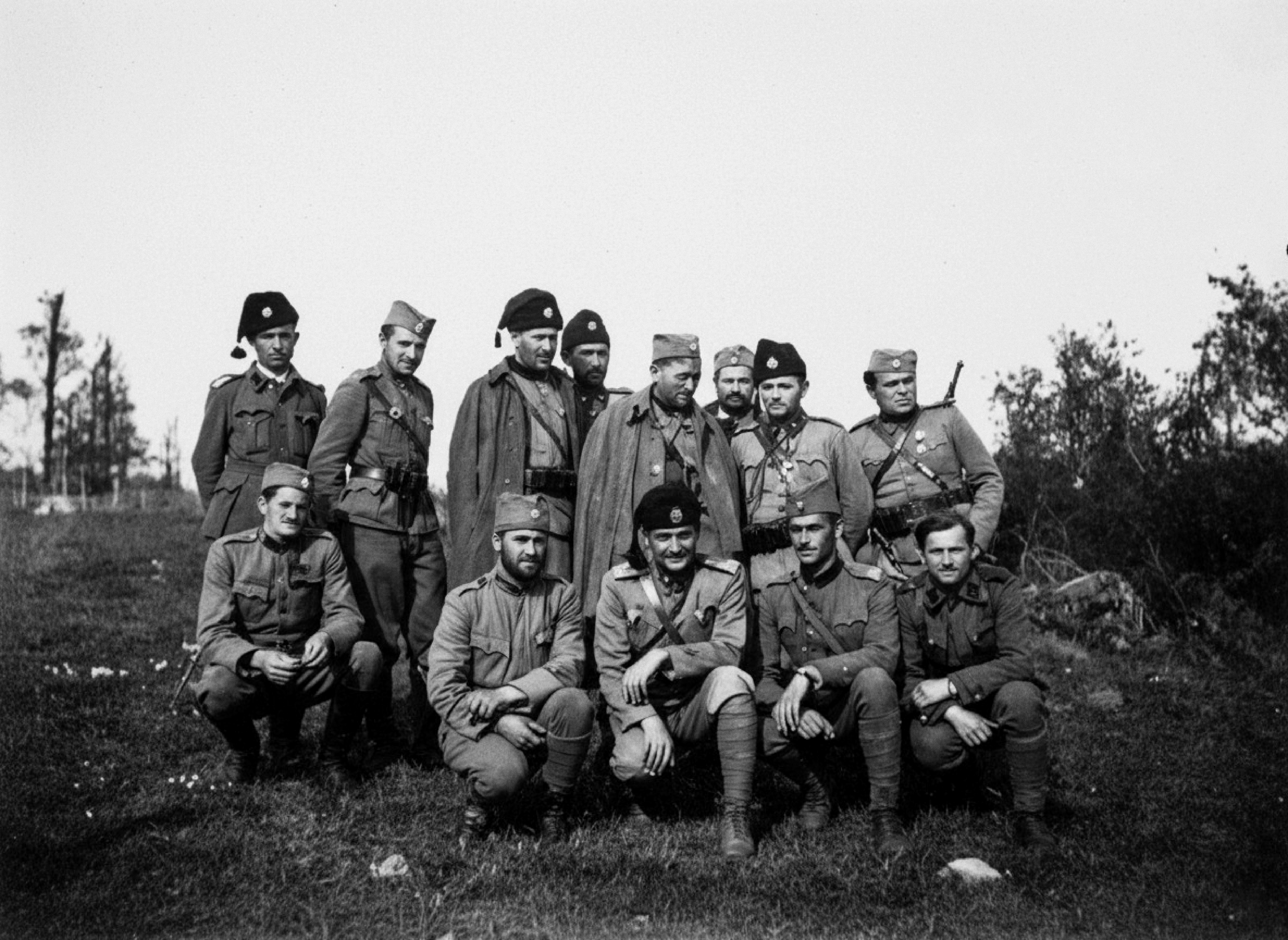 [Слика: draza-na-ravnoj-gori.jpg]