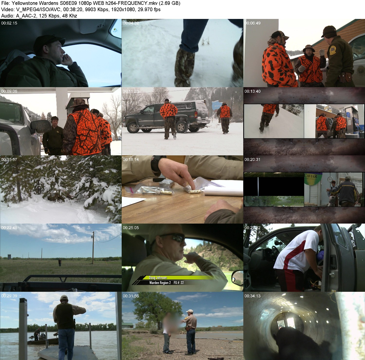 [Image: 8ilni10e0mqp.jpg]