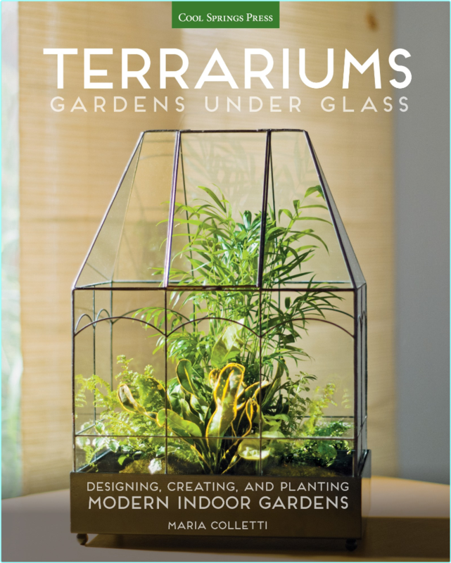 Terrariums Gardens Under Glass Designing Creating And Planting Modern Indoor Gardens