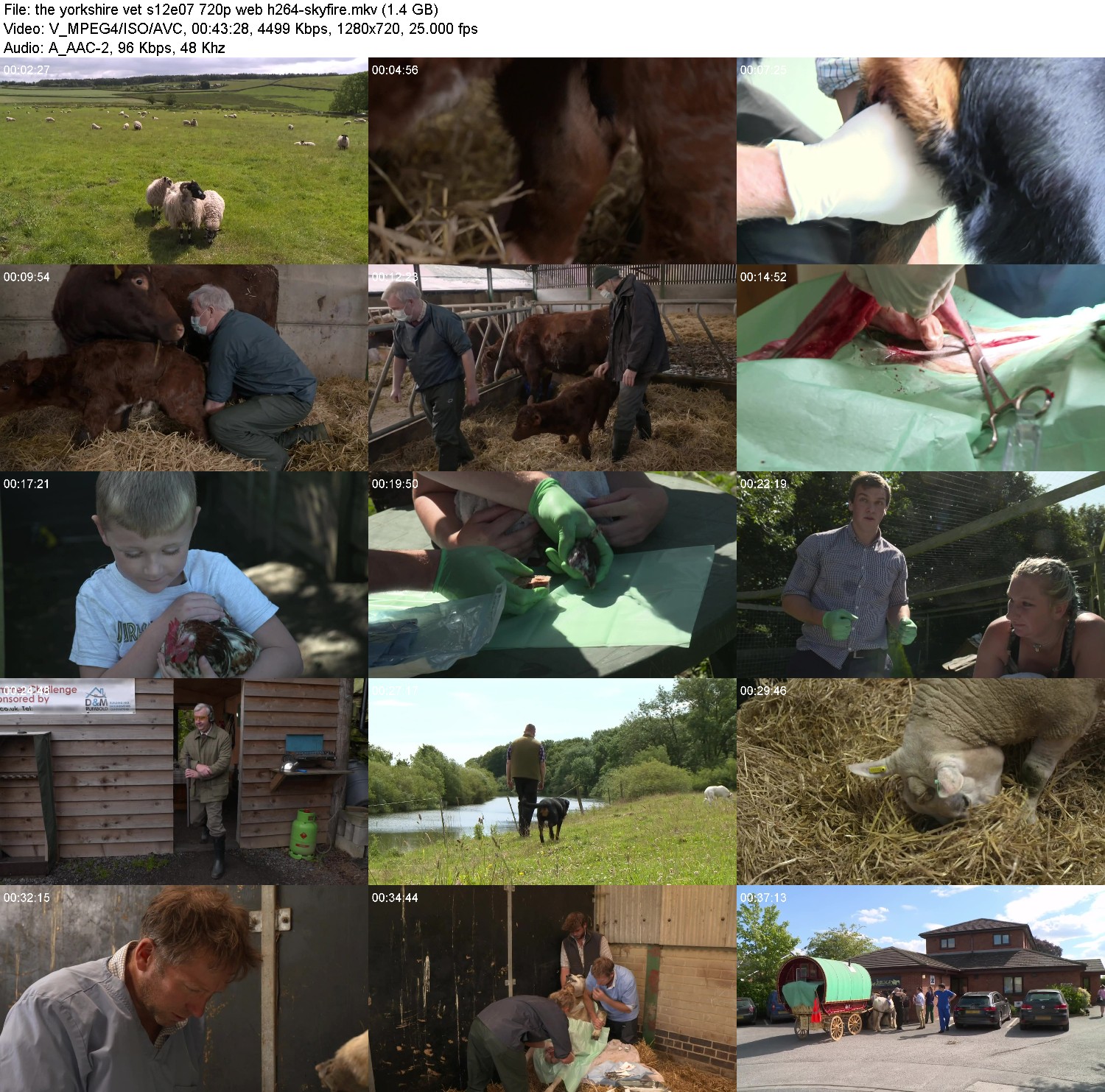 [Image: tbk3cxq5hs50.jpg]