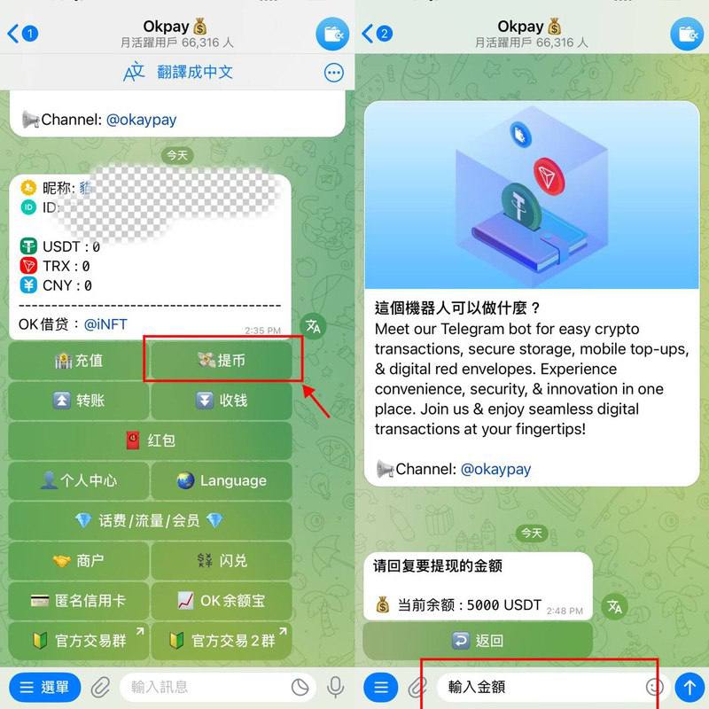 Step 4 提幣輸入金額